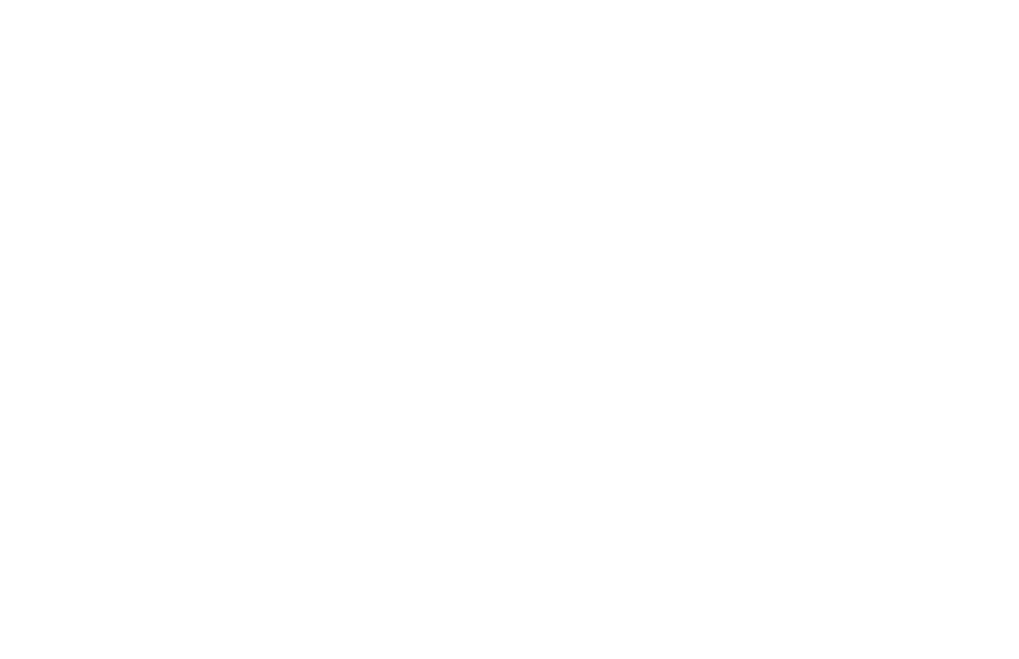 Sponsor logo8